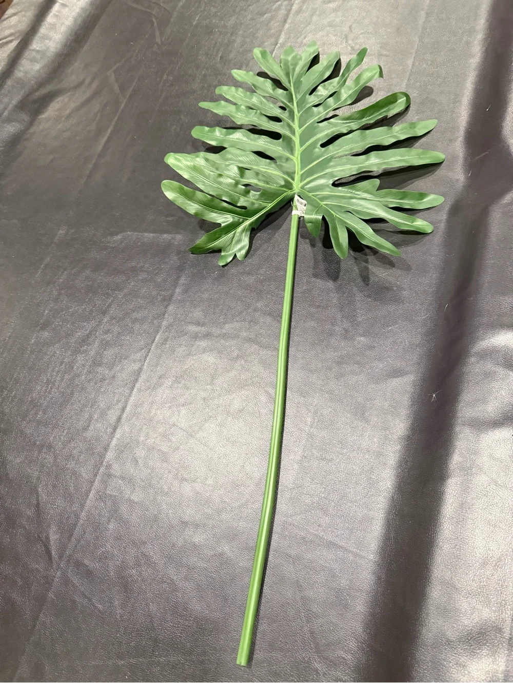 Threshold Green Philodendron Leaf Branch Stem NWT!